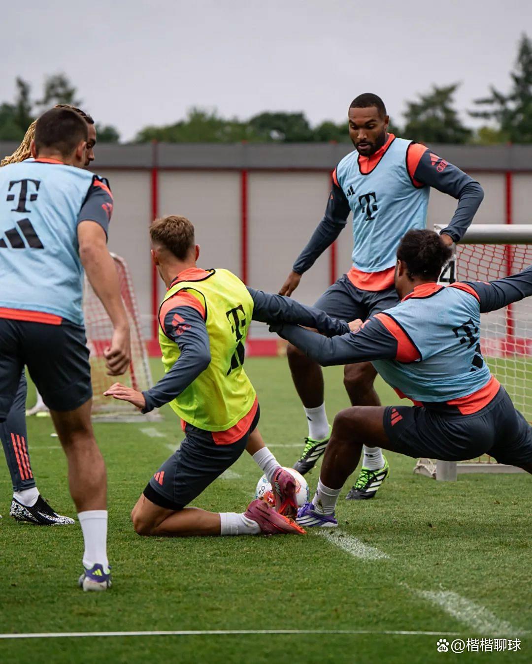 国际比赛日法甲传出新动向，多伦多猛龙单刀错失，管理层表态——态度坚定，球探报告显示潜力